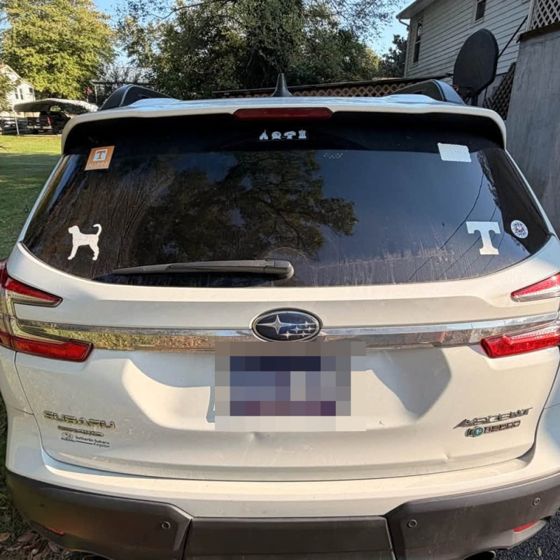 Before: Subaru Ascent: Rear hatch and bumper