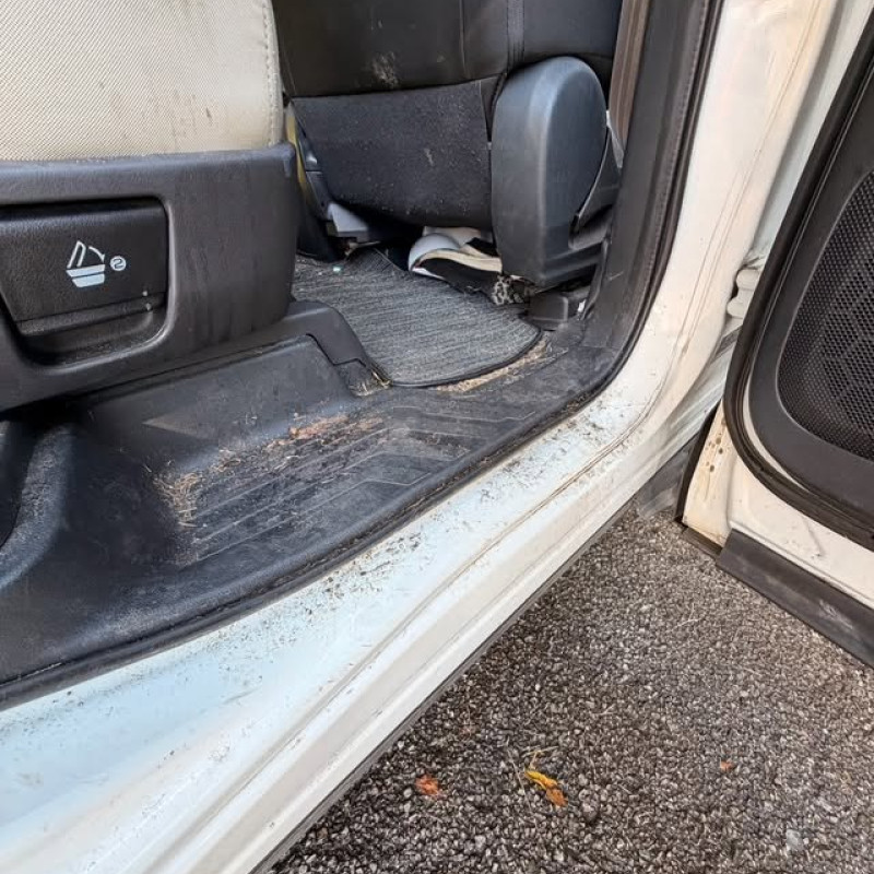 Before: Subaru Ascent: Door sill